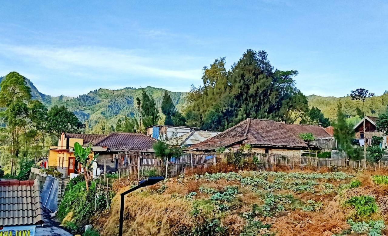Homestay Anggun Bromo Exteriör bild